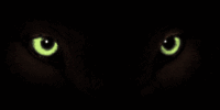 sticker_7670534_40202330