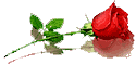 sticker_23682925_34173062