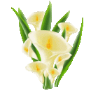 sticker_29940_64283