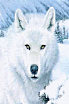 sticker_21555214_32454105