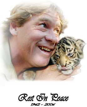 sticker_2011947_8788322