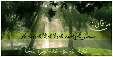 sticker_3687077_39081260