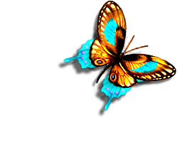 sticker_8987740_47591088