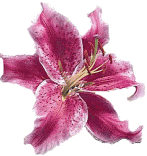 sticker_14158913_20187898