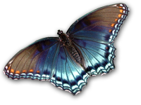 sticker_14158913_20679497