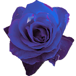 sticker_6517719_12389213