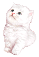 sticker_25948503_39249678