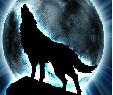 sticker_14017001_37729090