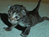 sticker_5353193_30065121