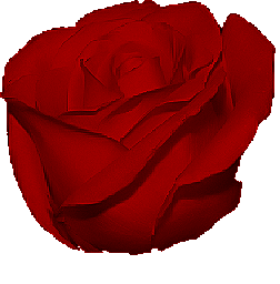 sticker_18545921_25597829