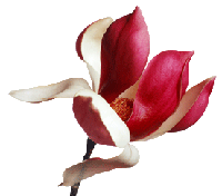 sticker_13709007_17268852