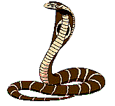 sticker_20378434_39344480