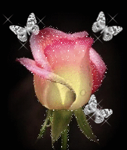 sticker_5126027_46070475