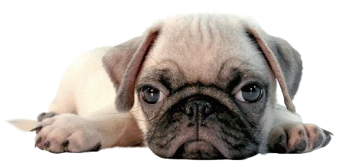 sticker_15907809_35864296