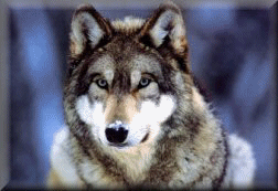 sticker_16562055_22722004