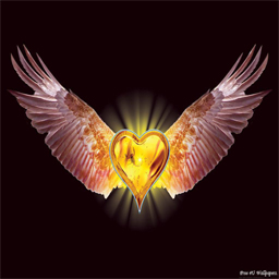 sticker_25367501_43462792
