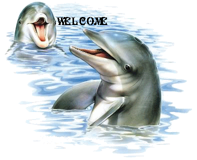 sticker_12861773_22574326