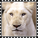 sticker_11914440_33859978