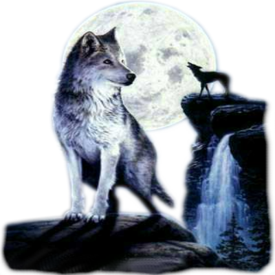 sticker_19019616_31912201