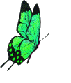 sticker_15507639_24627612