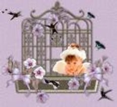 sticker_16577795_28251646