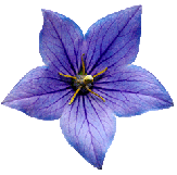 sticker_13709007_17268853