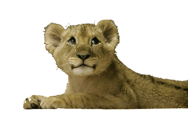 sticker_10577258_23751231