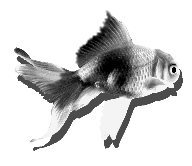 sticker_688765_47332986