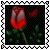 sticker_21048641_34328643