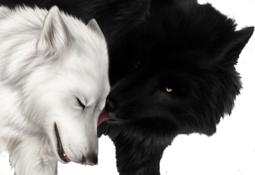 sticker_10145114_40171569