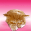 sticker_16783063_44720859