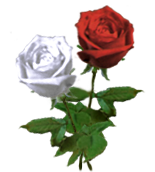 sticker_3282443_37076680