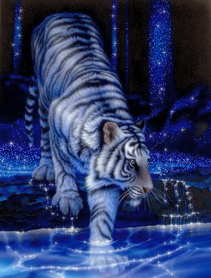 sticker_19739027_30666504