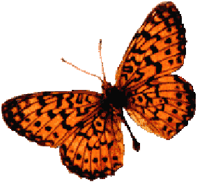 sticker_11359803_19977428
