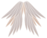 sticker_4882428_8476907