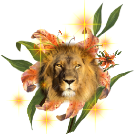 sticker_12526132_37273714
