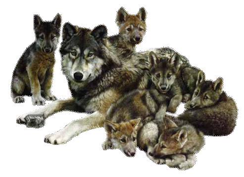 sticker_18078123_28128071