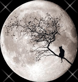 sticker_15328161_38619242