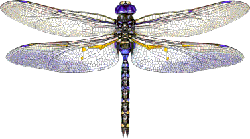 sticker_5894646_12441685