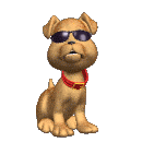 sticker_21655227_35054333
