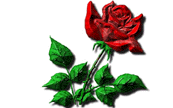 sticker_7463426_28033997