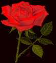 sticker_13114765_37700503