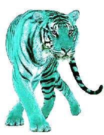 sticker_7441559_37514105