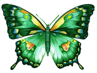 sticker_22471380_32818211