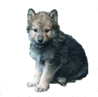sticker_14342988_40750555