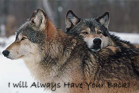 sticker_18078123_28127988