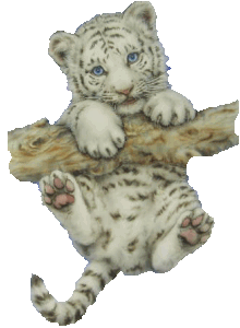 sticker_12070195_18722939
