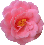 sticker_6612280_8226051
