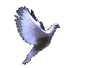 sticker_13289187_22659779