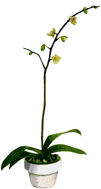 sticker_25477198_39515587